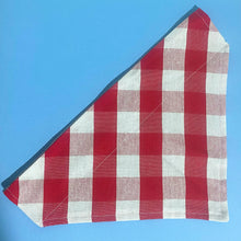 Red Gingham Dog Bandana